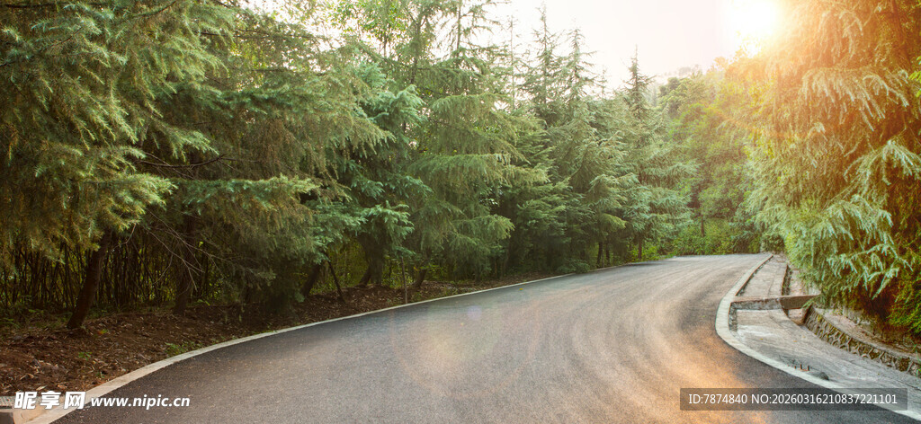 林间蜿蜒公路 阳光洒落