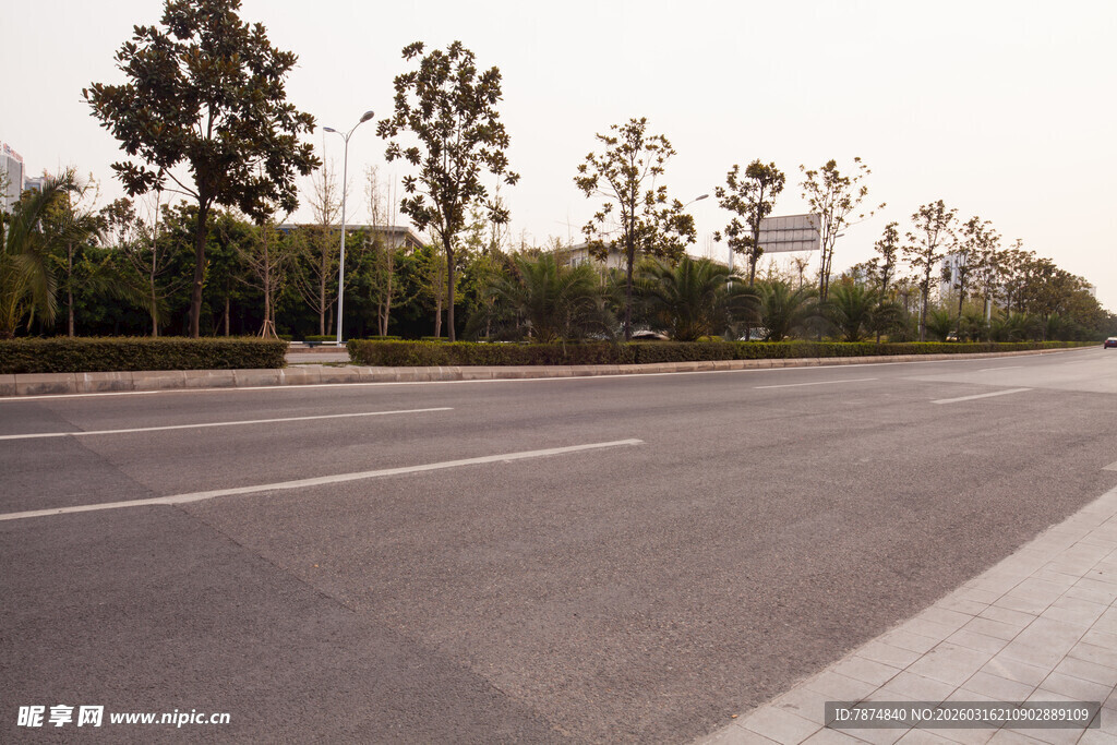 宽阔道路旁的葱郁树木