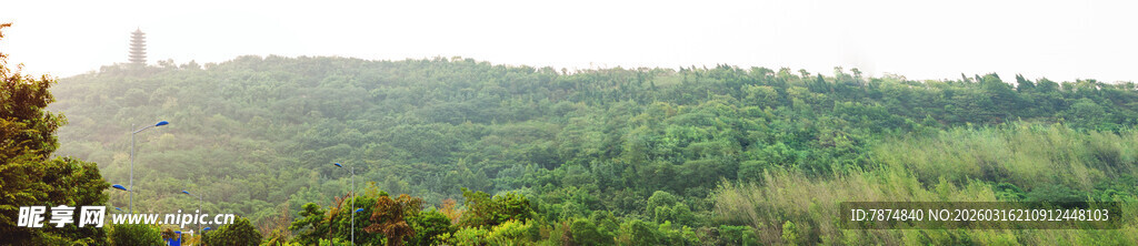 绿意盎然的广袤山林景色