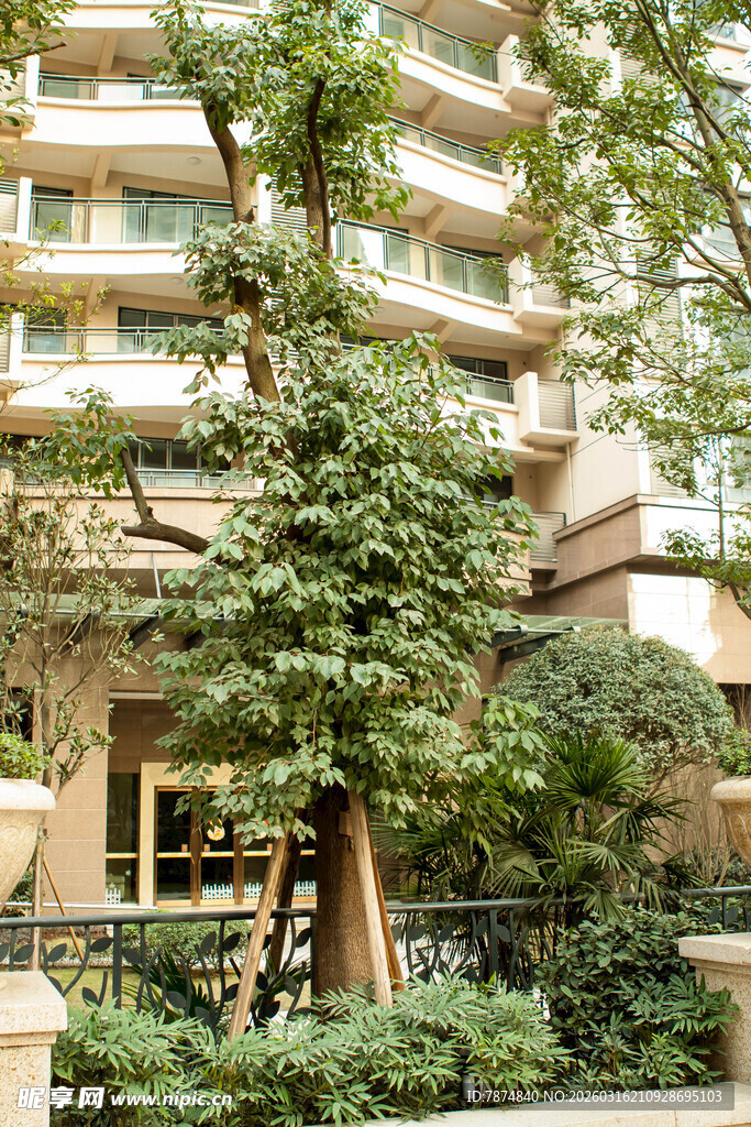 小区绿植环绕的住宅楼