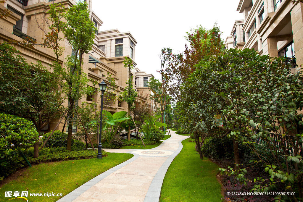优雅小区的静谧绿化步道