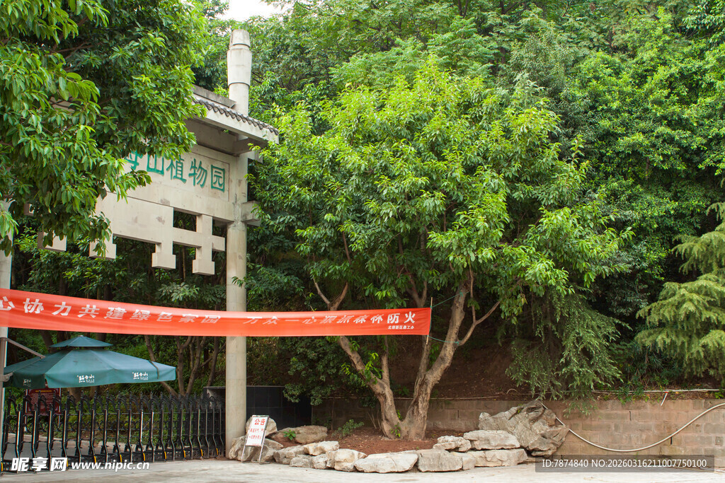 校园绿树间的红色横幅