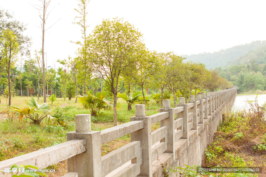 乡村河畔木栅栏风景