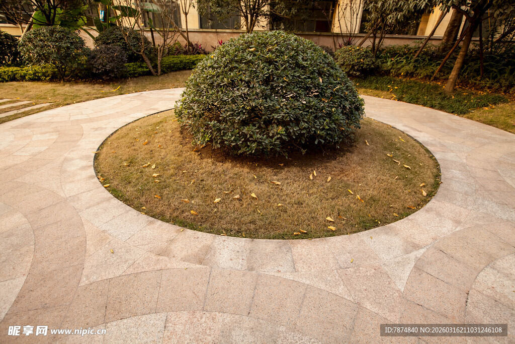 圆形花坛中的绿植景观