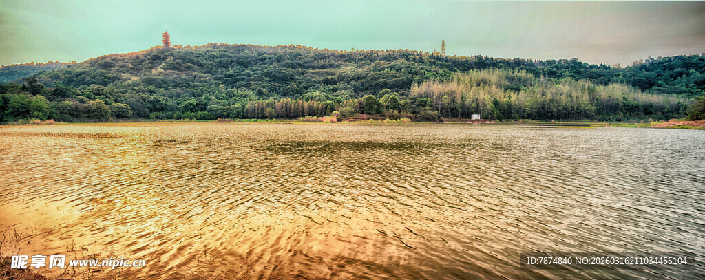 金色田野远眺山丘美景
