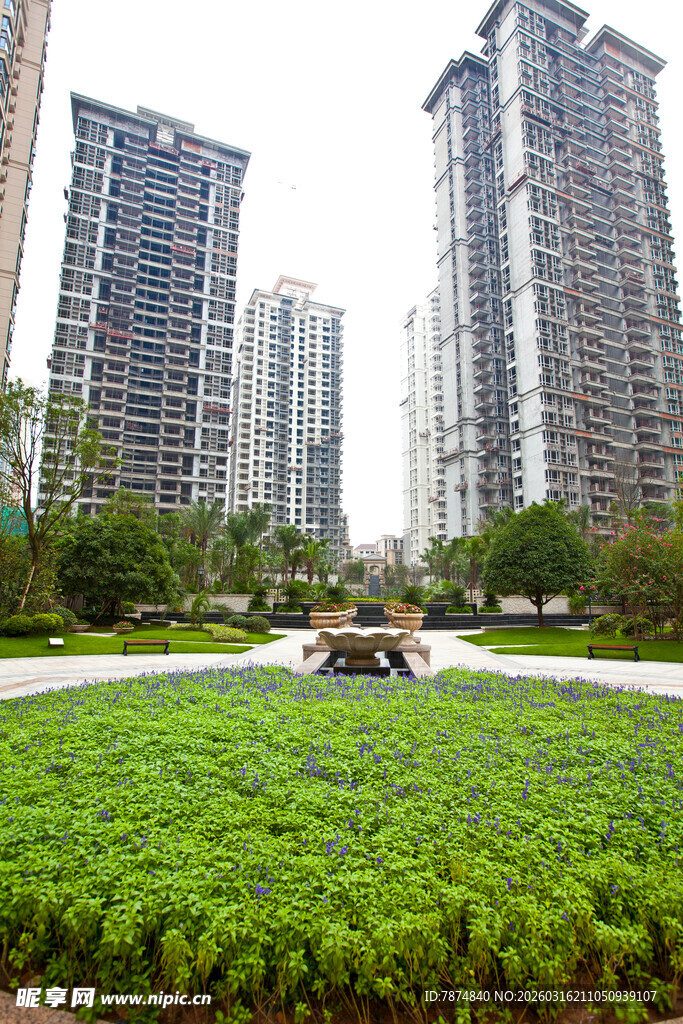 城市绿地旁的高楼景观