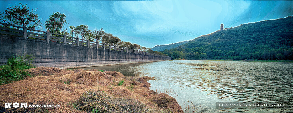 河畔风光 绿树环绕的宁静水域