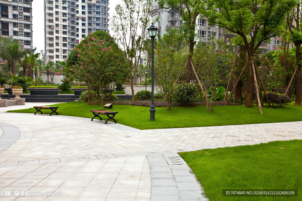 城市中的静谧绿化景观