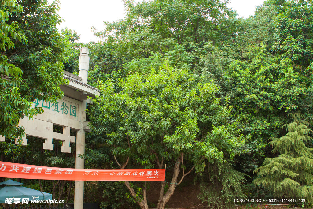 林间指示牌与清新绿植