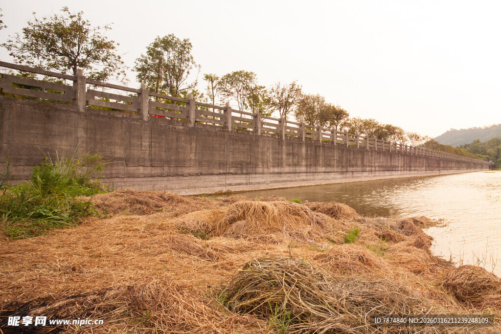河岸堤坝旁的自然景象