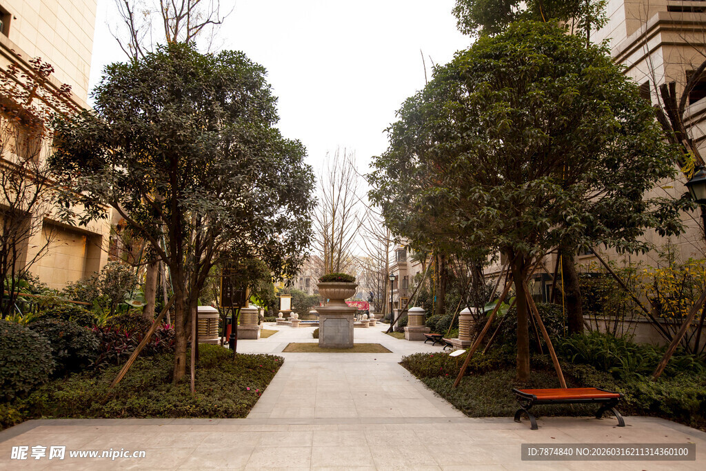 小区林荫步道景观