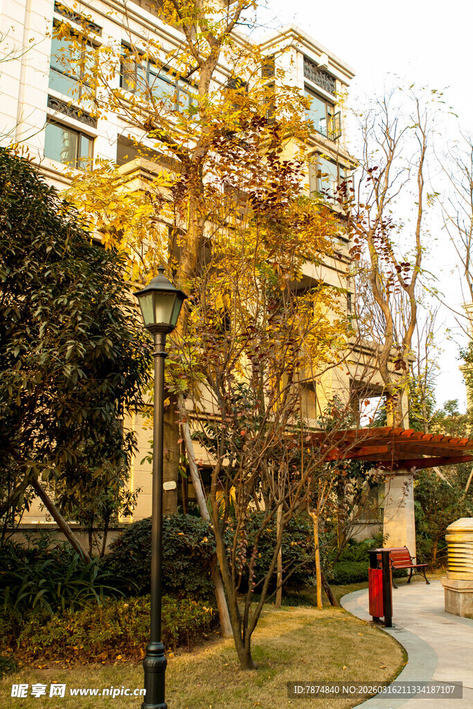 秋日小区静谧美好景象