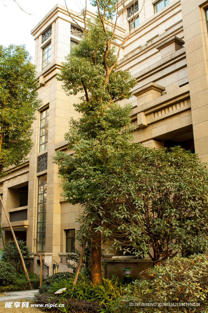 现代住宅旁的绿植景观