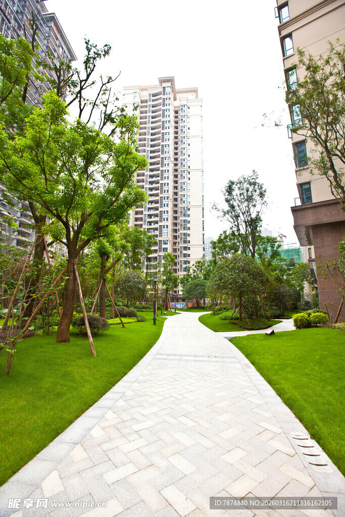 城市中的宁静绿意小径