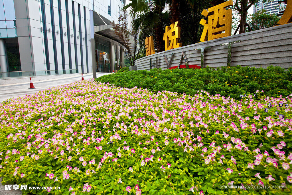城市中生机勃勃的花草景观