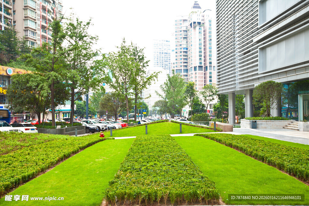 城市中的规整绿植景观