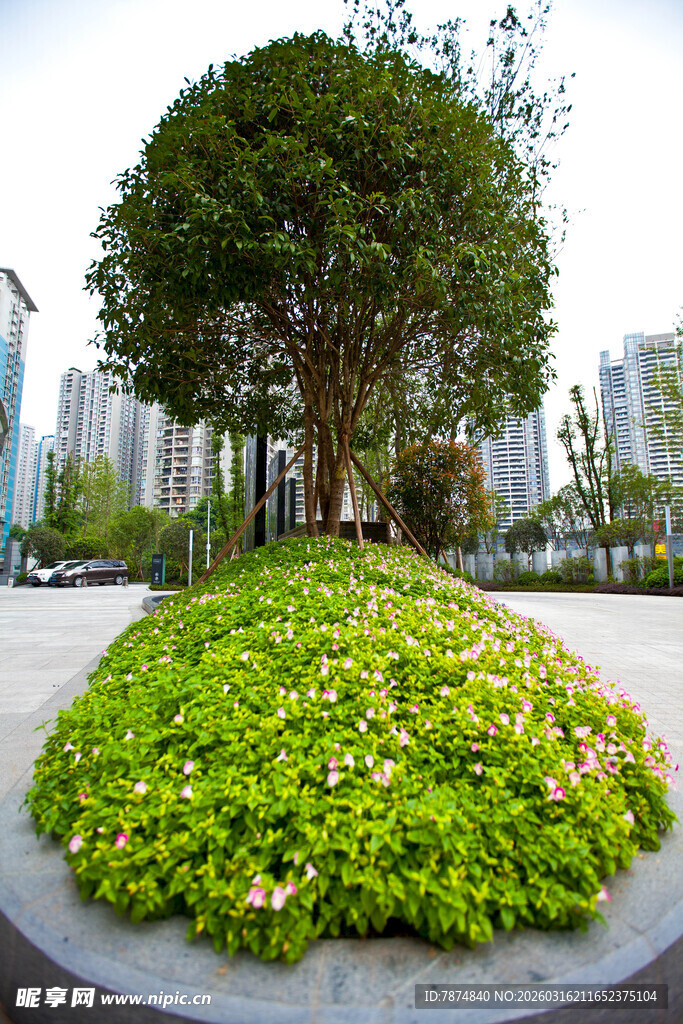 城市中圆形绿植景观