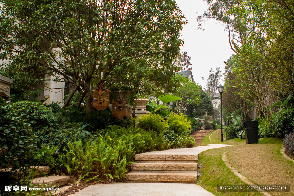 绿意盎然的园林小径