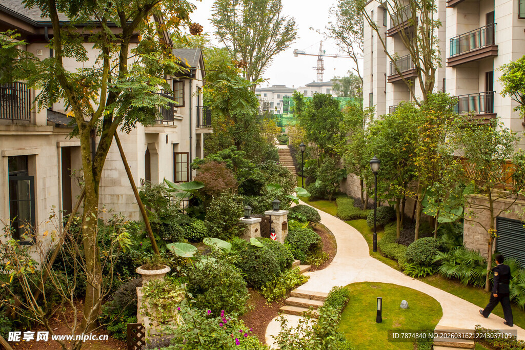 庭院绿植环绕的幽静小道