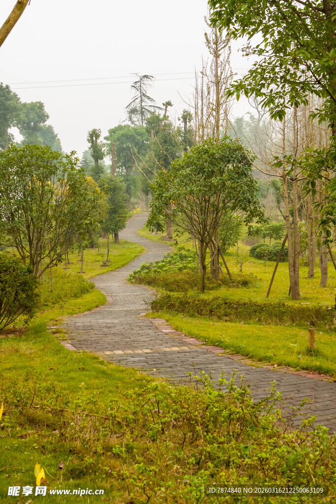 林间蜿蜒小路 绿意盎然