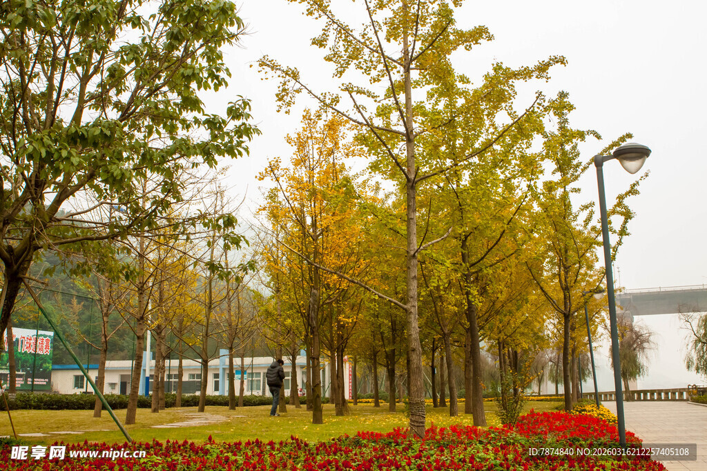 秋日公园多彩景致