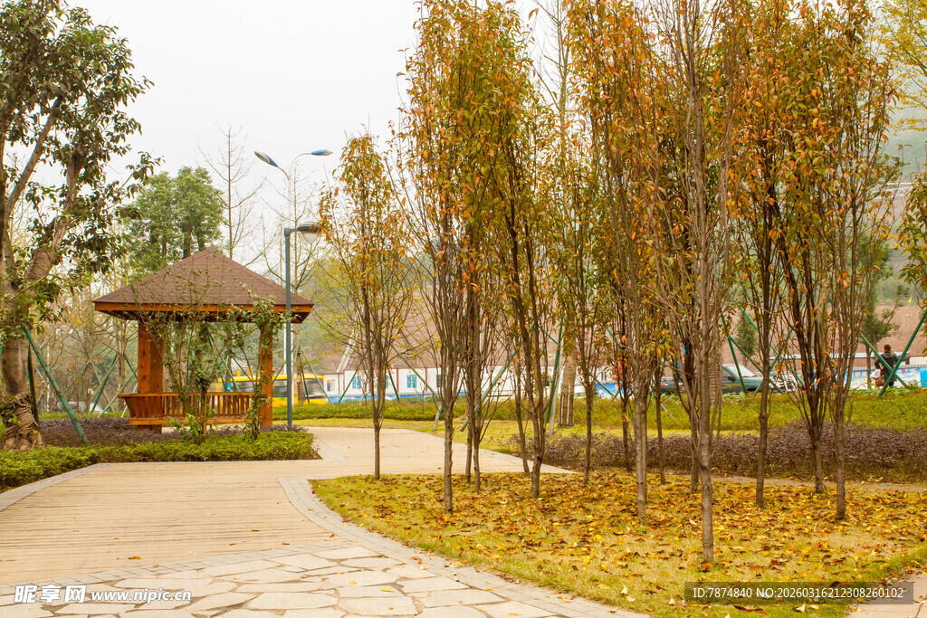 秋日公园凉亭风景