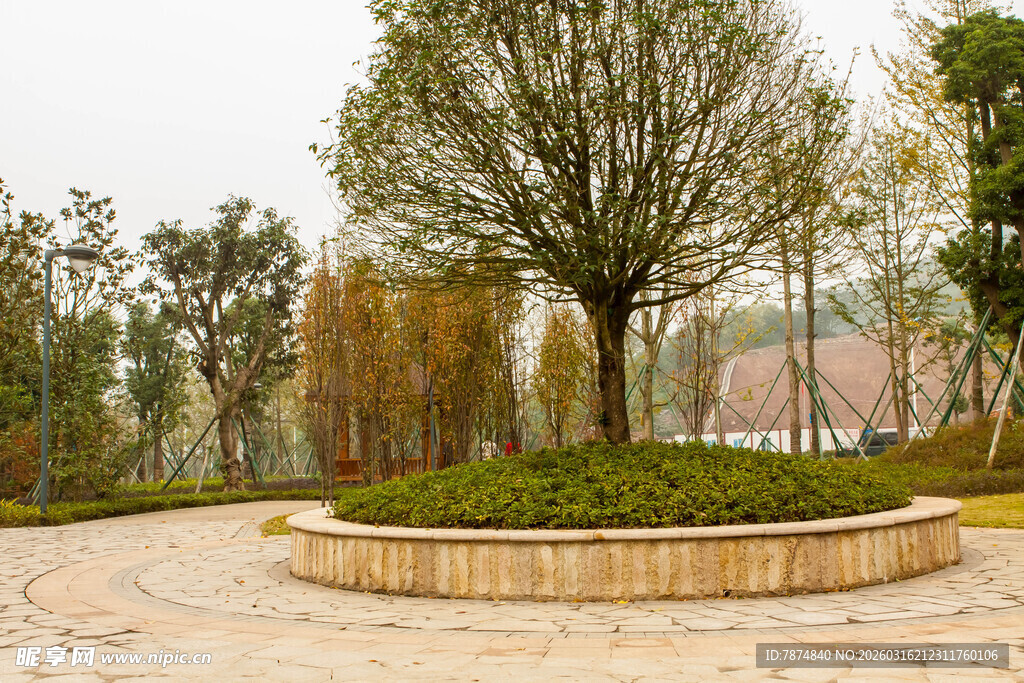 公园圆形花坛景观树