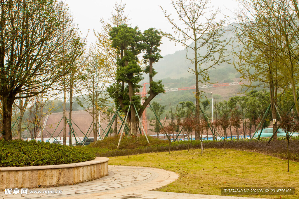 公园中的宁静绿化景致