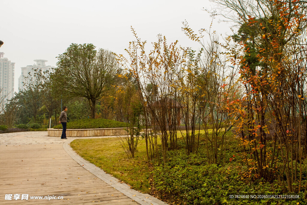 秋日公园小径景色