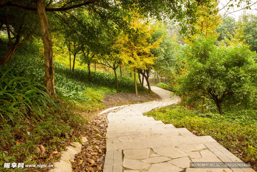 林间蜿蜒小径 秋意满径