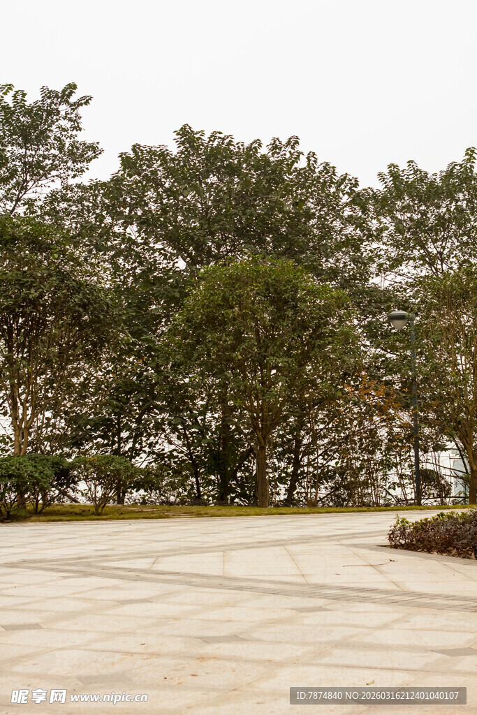 户外空旷园林景观场景