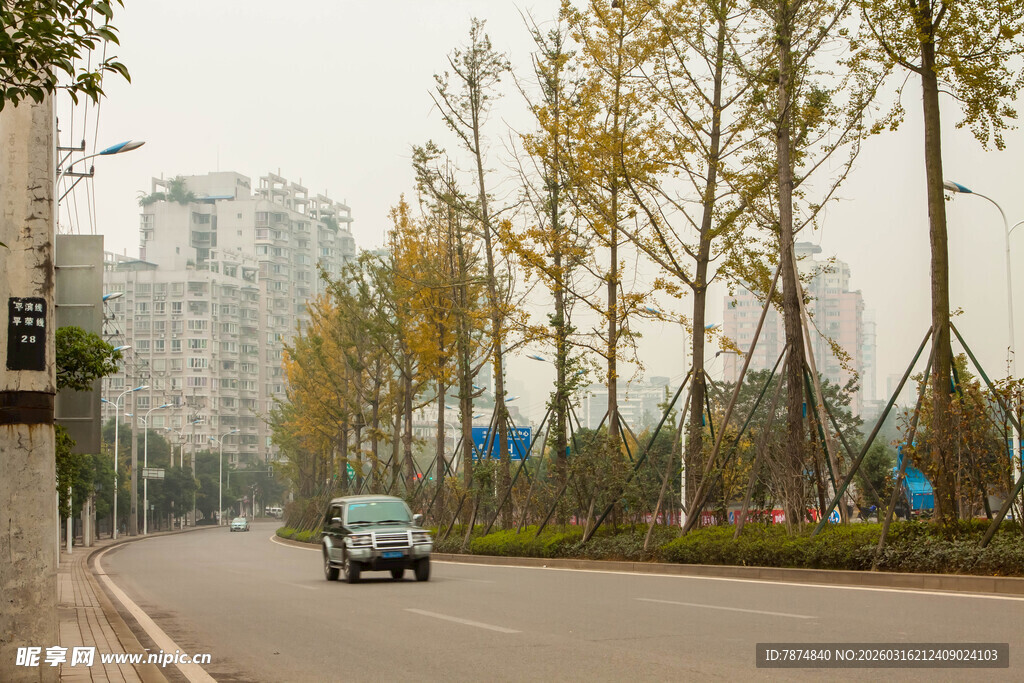 城市道路上行驶的车辆