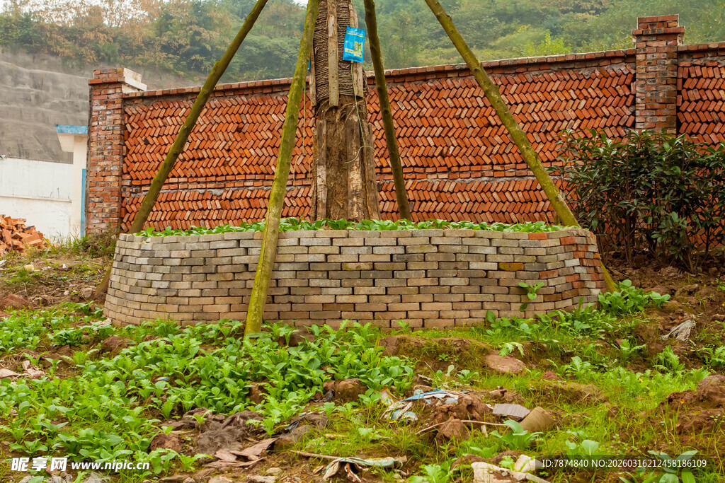 户外砖砌围栏旁的绿植景观