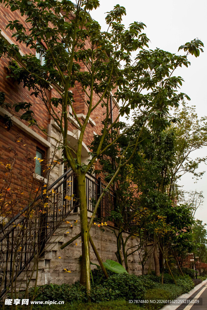 红砖建筑旁的绿植景观