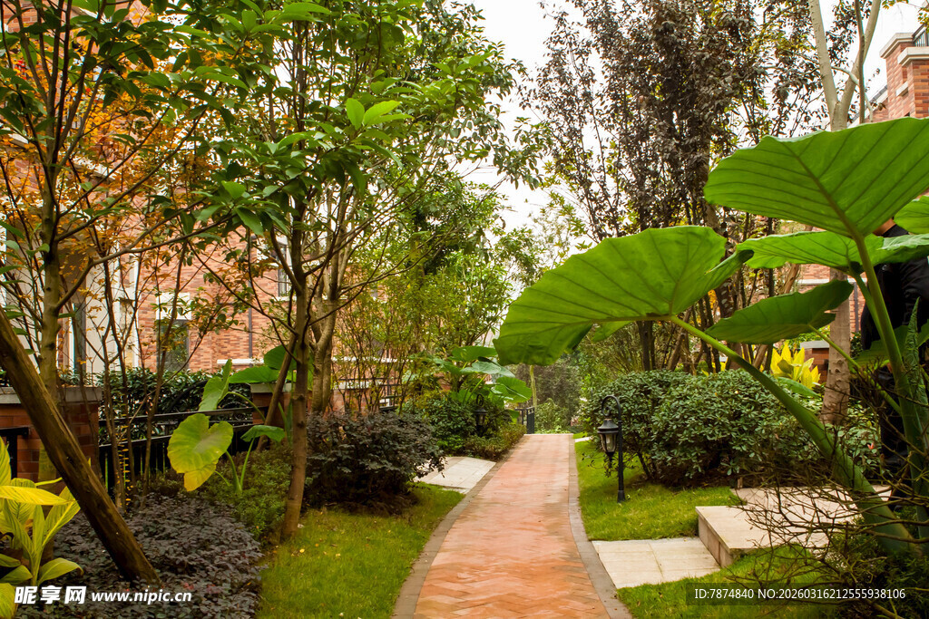 静谧庭院绿植景观小径