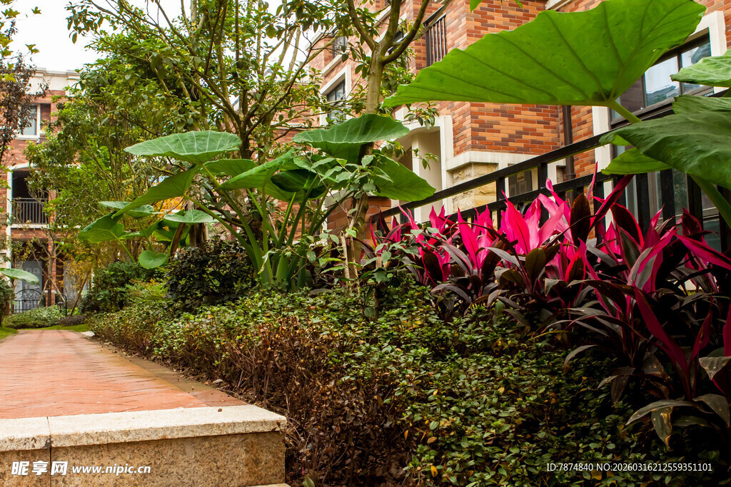 小区内的多彩绿植景观