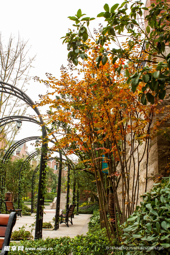 秋日公园拱形廊架景致