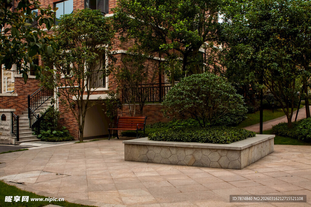 庭院绿植景观一角