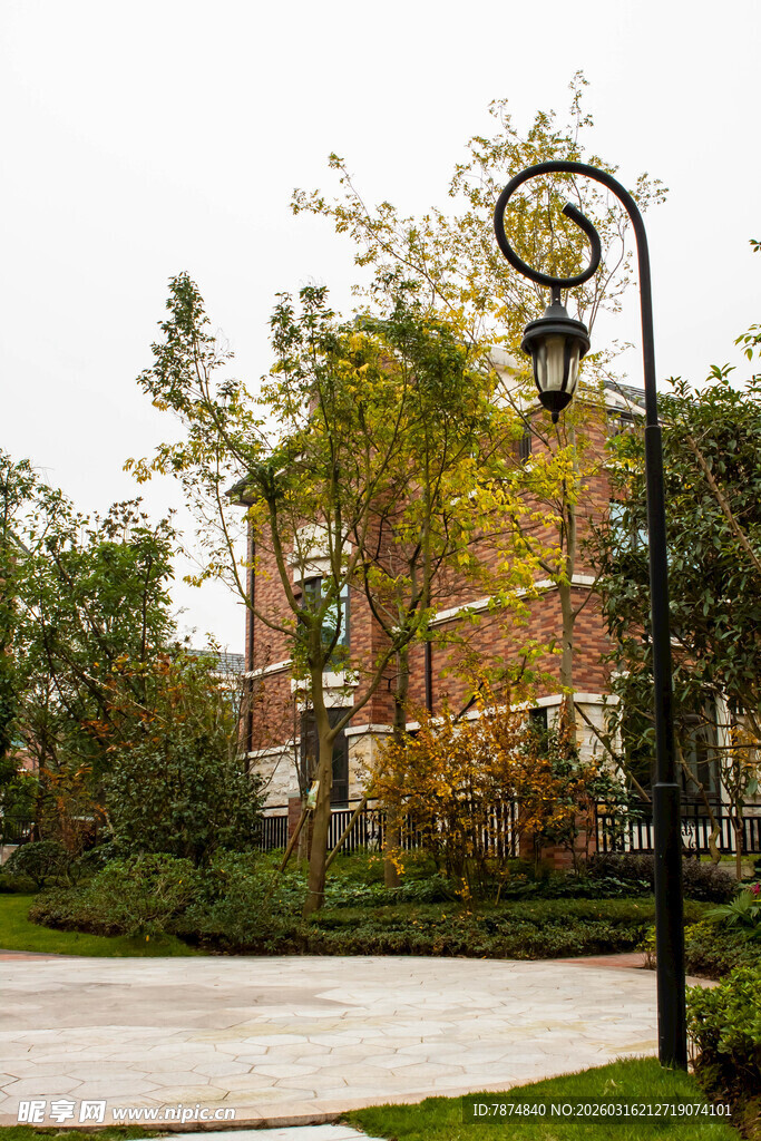 秋日校园路灯旁的景致