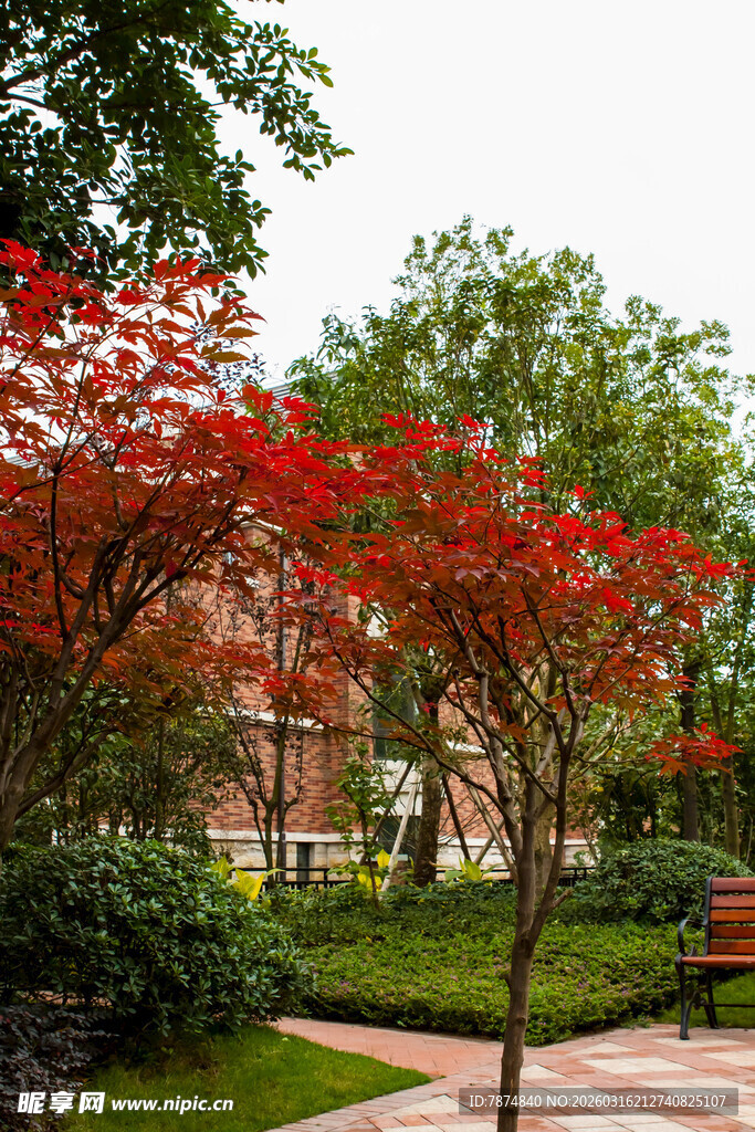 红树点缀的静谧园林景色
