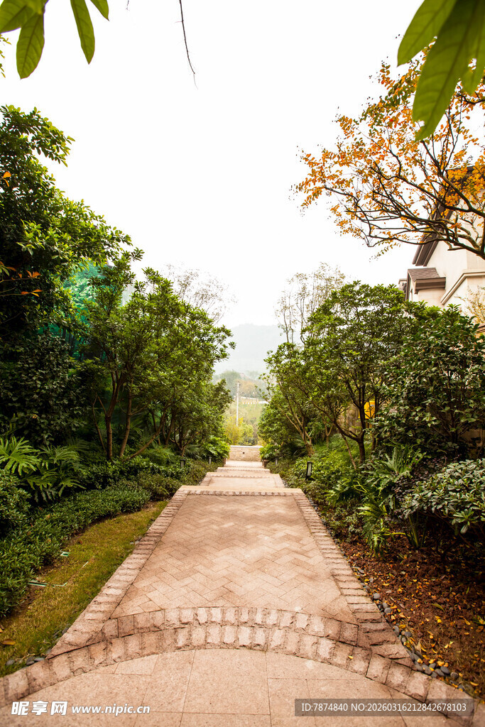 林间蜿蜒小道绿意盎然