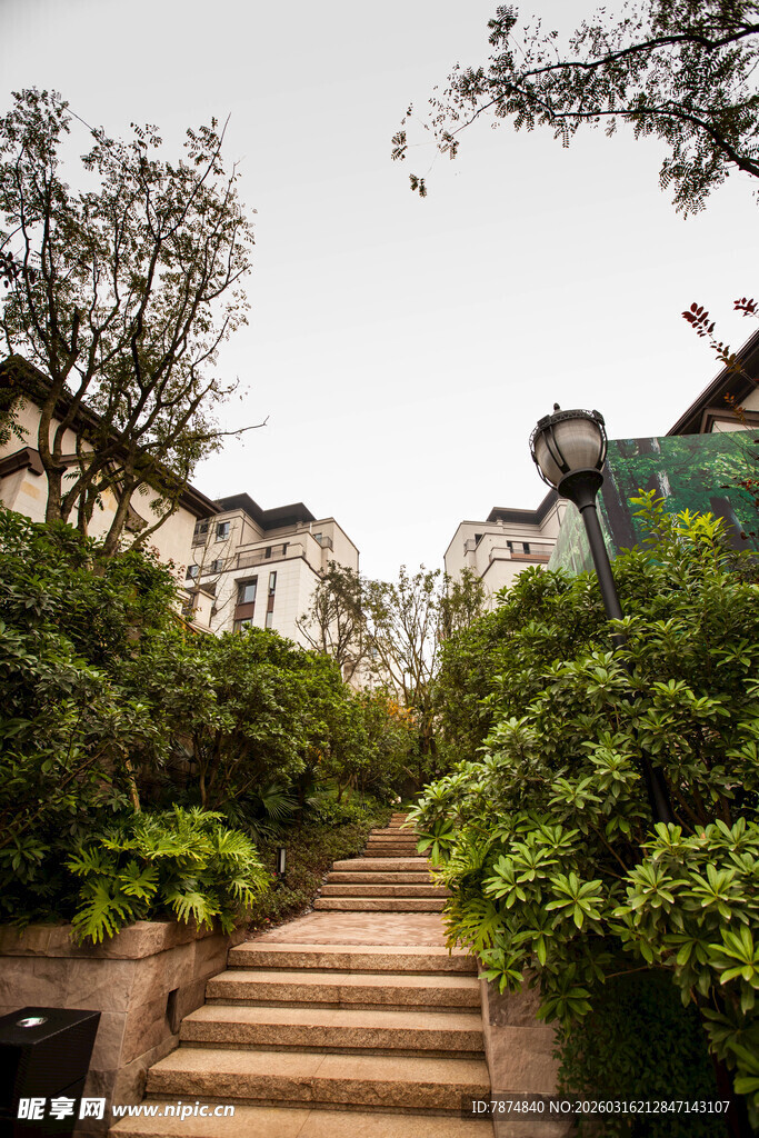 蜿蜒石阶旁的绿植与建筑