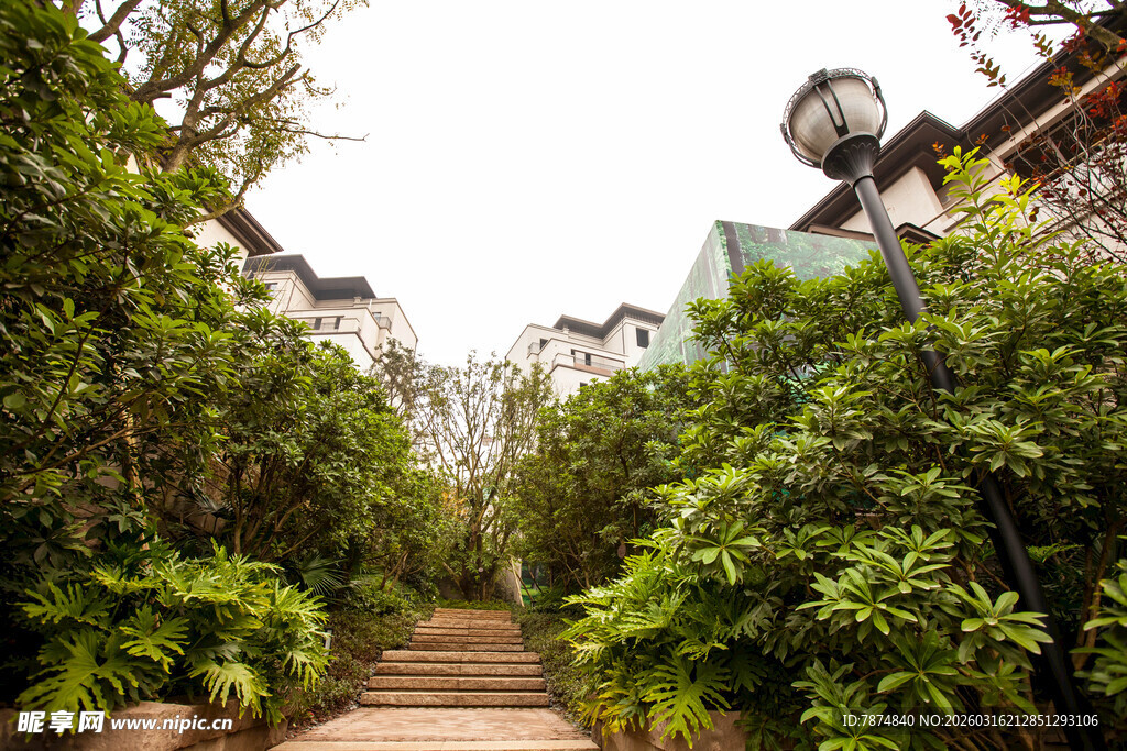 绿植环绕的幽静石阶小道