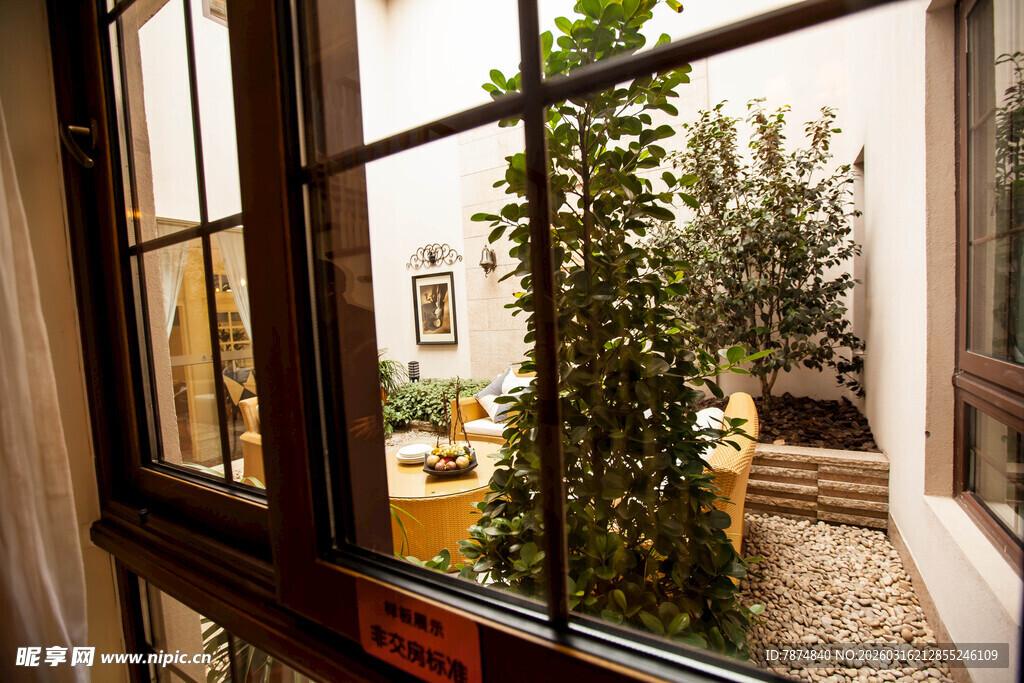 透过窗户看庭院绿植