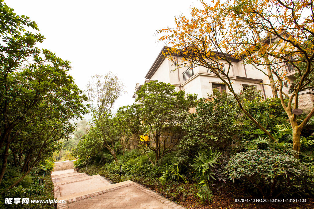 林间小径旁的绿植与房屋