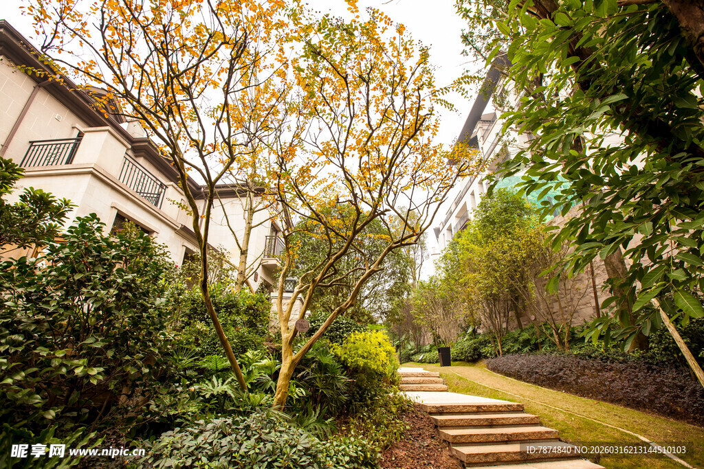 幽静庭院绿植小径景致