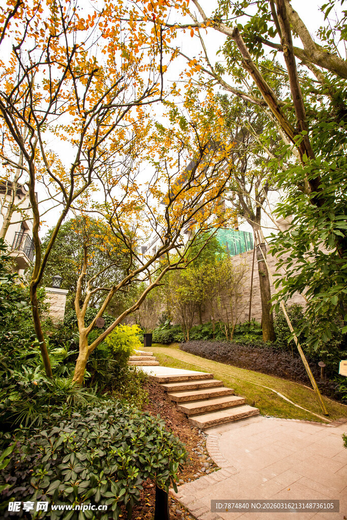 林间小径 邂逅自然之美