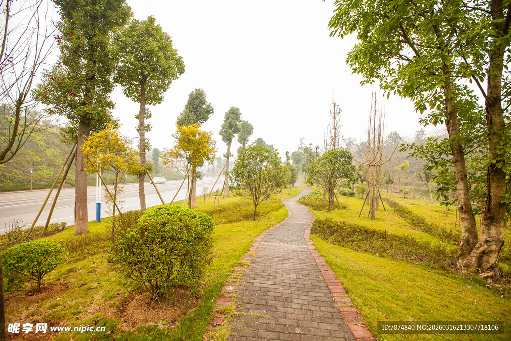 林间小径 绿意盎然的景致