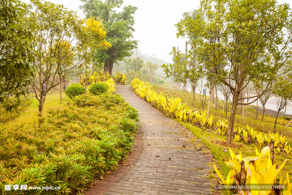 林间小径 花草相伴美景