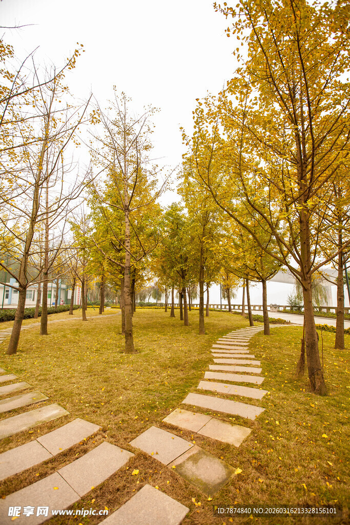 秋日林间石板小径美景